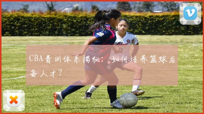 CBA青训体系揭秘：如何培养篮球后备人才？