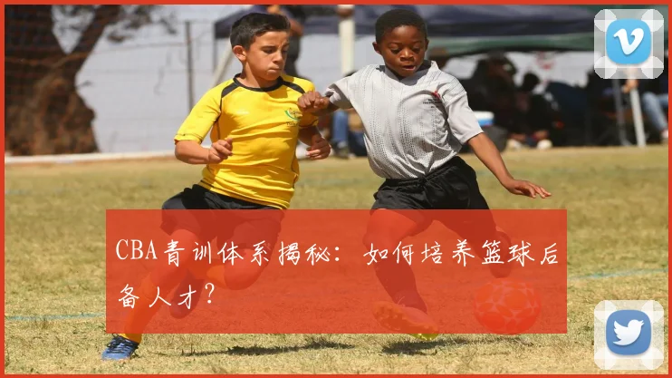CBA青训体系揭秘：如何培养篮球后备人才？